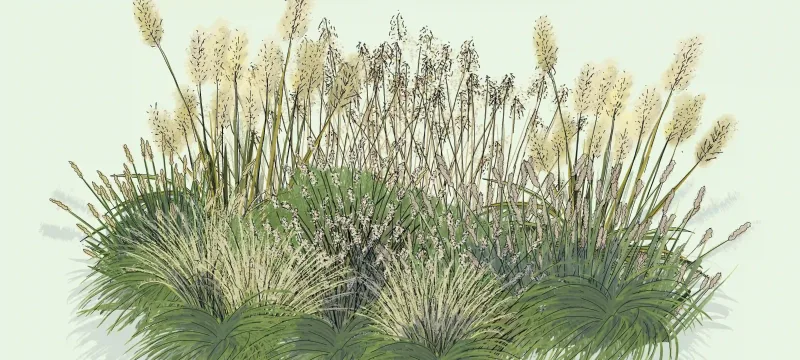 Un jeu de textures et de mouvements
