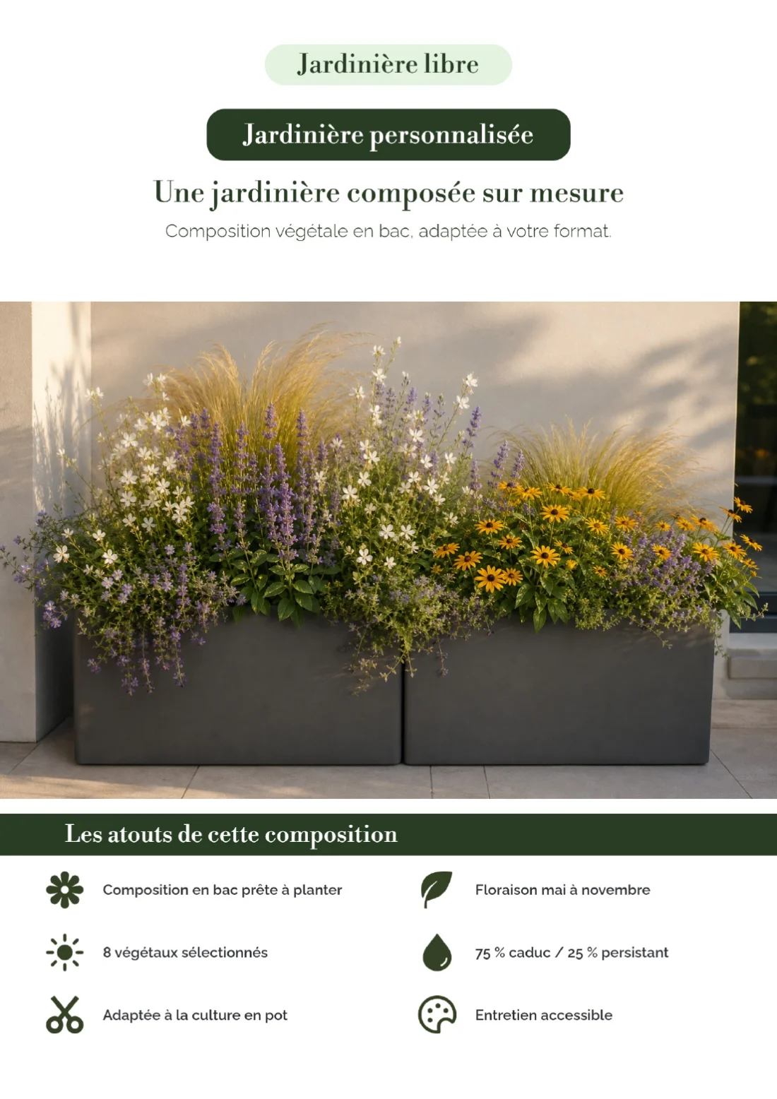 Dossier de présentation de jardinières fleuries&nbsp;: la composition en bac illustrée