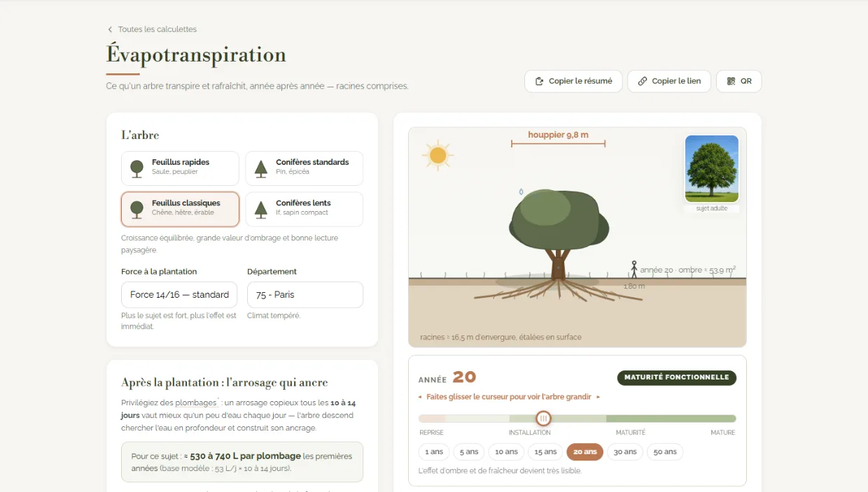 Écran du calculateur d'évapotranspiration CréaScape&nbsp;: arbre, ombre projetée à maturité et besoins en eau