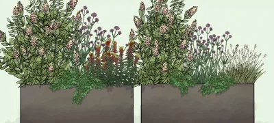 Jardinières d'ombre