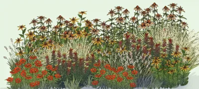 Massifs fleuris
